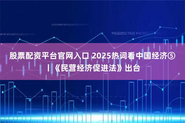 股票配资平台官网入口 2025热词看中国经济⑤丨《民营经济促进法》出台