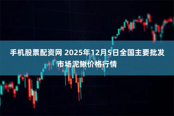 手机股票配资网 2025年12月5日全国主要批发市场泥鳅价格行情