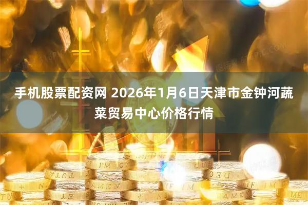 手机股票配资网 2026年1月6日天津市金钟河蔬菜贸易中心价格行情