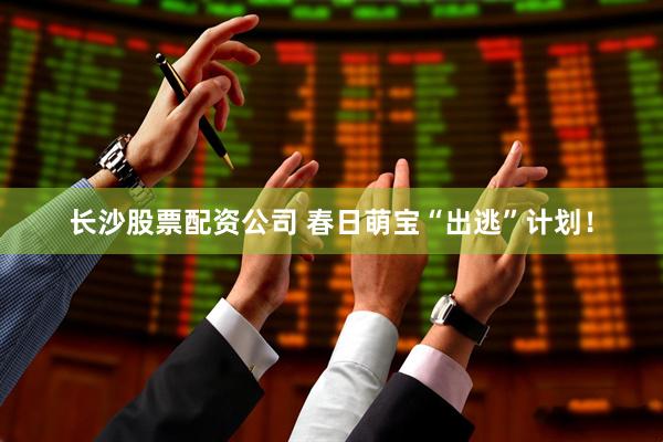 长沙股票配资公司 春日萌宝“出逃”计划！